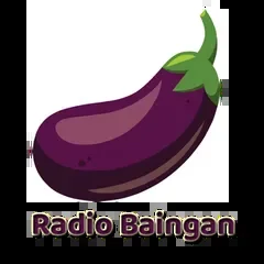 Radio Baingan