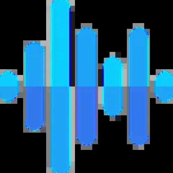 BISMI RADIOS