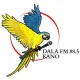 Station Logo
