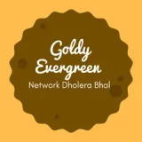 GOLDY Evergreen