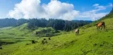 Khaptad Sandesh