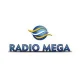 Station Logo