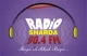 Station Logo