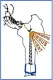 Station Logo