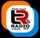 Station Logo