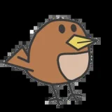 RKotti_T