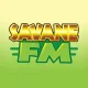 Station Logo