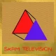 Station Logo