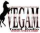 Station Logo