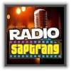 Radio Saptarangmarathi-radios
