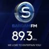 Radio Sargamhindi-radios