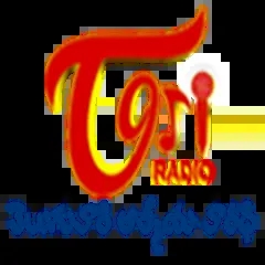 TORI TeluguOne Radio On Intern