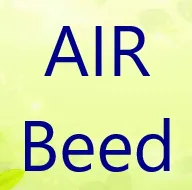 AIR Beed